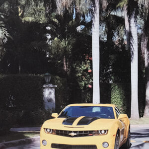 Camaro-Poster-SFG_FL0008_02