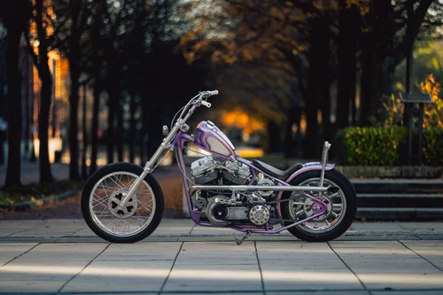 Hunter+Kelly-Unity+MFG-1953+Panhead-Turbo+Lover-1336 Purple custom chopper motorcycle parked on a paved walkway with trees and sunset glow in the background.